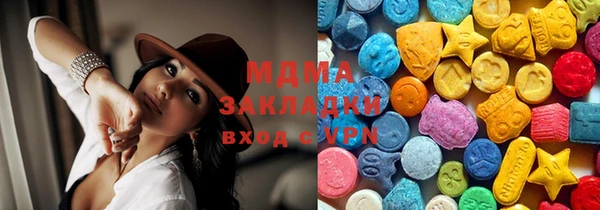 молекула духа Богданович